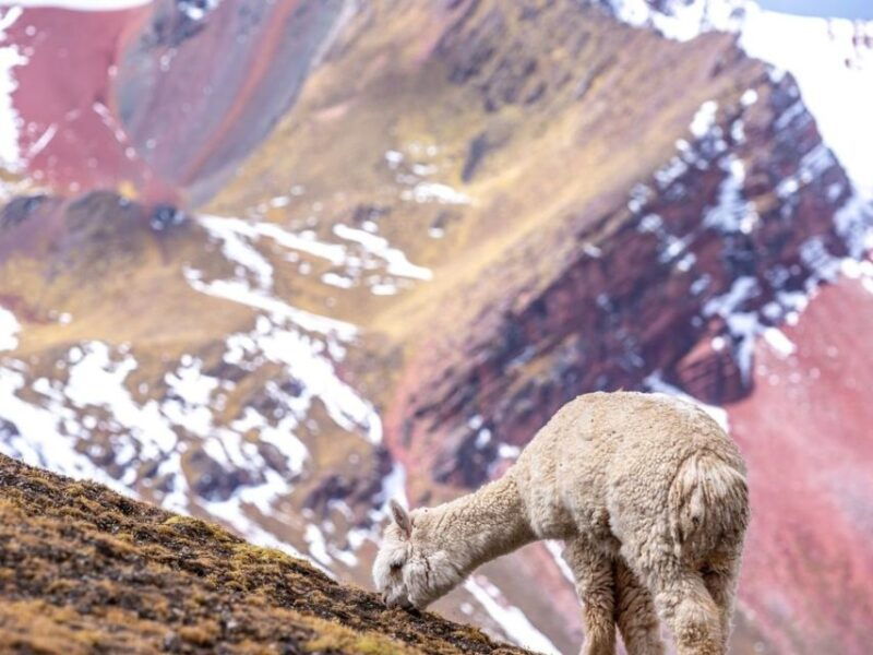 excursion-to-rainbow-mountain-in-atv