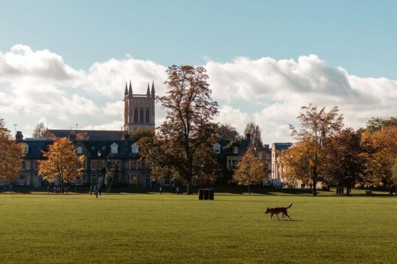 explore-cambridge-with-family-walking-tour