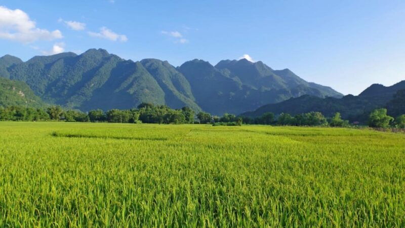 explore-ecotourism-in-private-mai-chau-with-biking-tour
