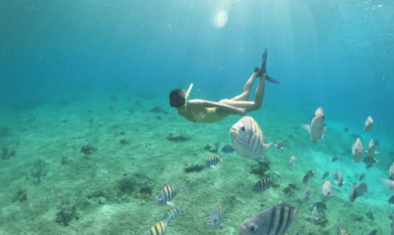 explore-the-sea-of-cozumel-in-a-transprent-boat-with-drinks-and-snorkel