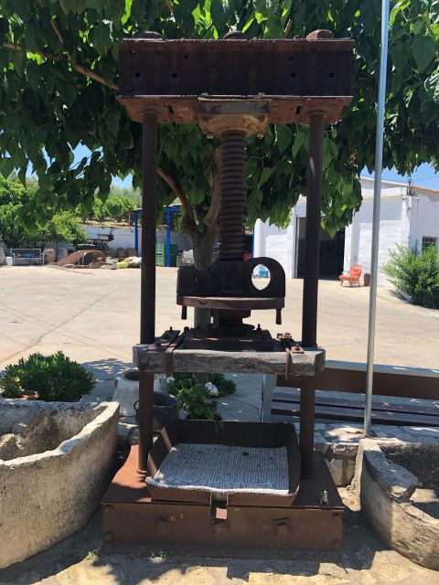 explore-the-secrets-of-wine-and-olives-in-rethymno-2