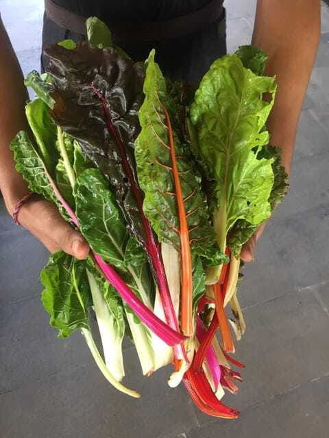 farmers-market-street-food-walking-tour-chef-curated