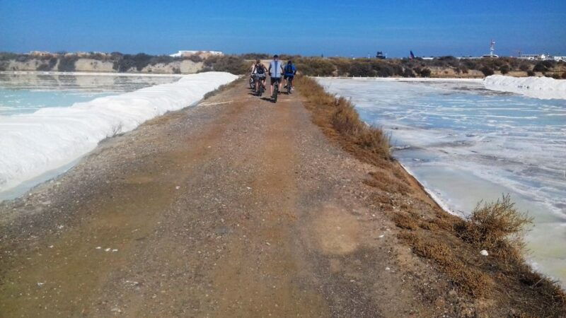 faro-bike-tour-through-the-beautiful-ria-formosa