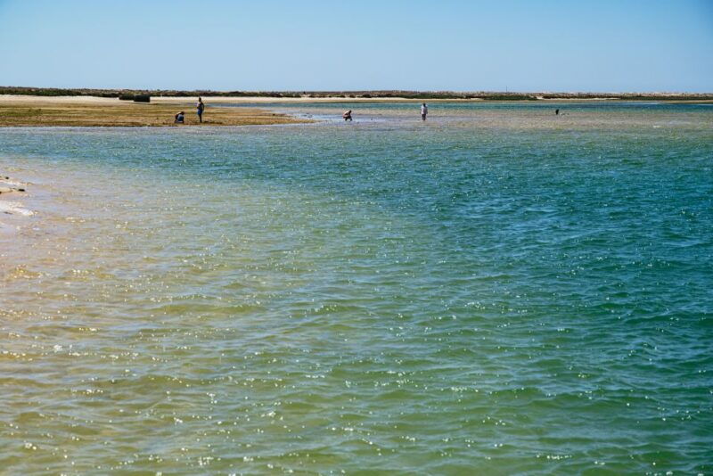 faro-deserta-island-and-farol-island-catamaran-boat-trip