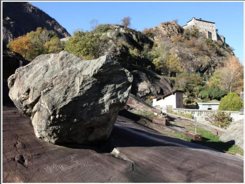 fauna-and-flora-of-exposed-and-engraved-rocks