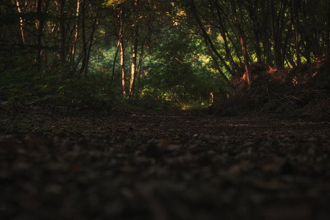 Fireflies Tour in Cherating - The Sum Up