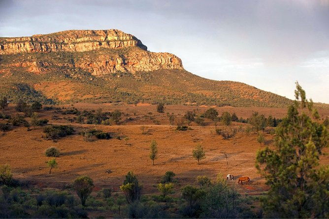 Flinders Ranges 3-Day Small Group 4WD Eco Tour from Adelaide - The Sum Up