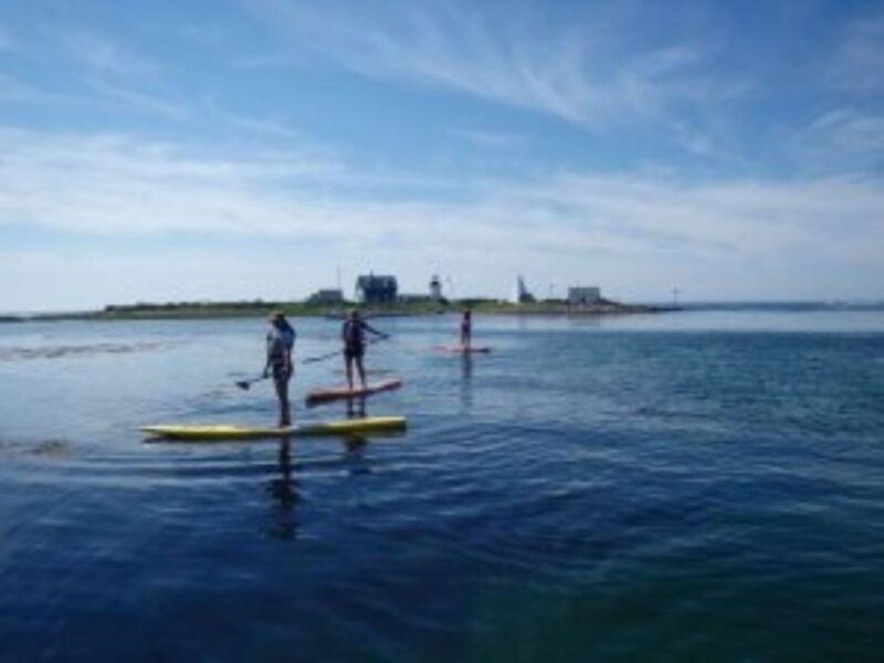 fort-myers-guided-kayak-or-sup-tour-in-pelican-bay