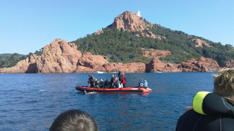 frejus-diving-experience-in-port-frejus-with-an-instructor