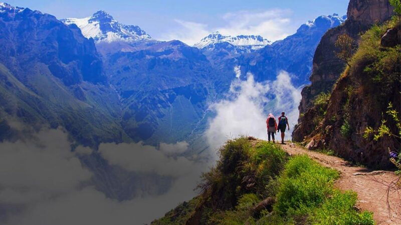 from-arequipa-colca-canyon-day-trip-with-transfer-to-puno