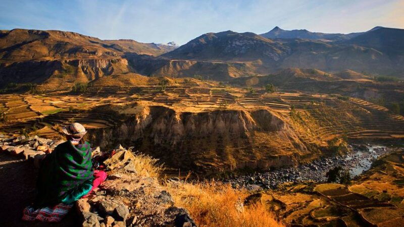 from-arequipa-full-day-colca-canyon-tour