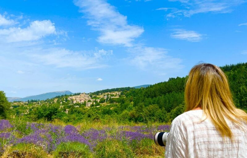from-avignon-lavender-tour-around-valensole-or-sault