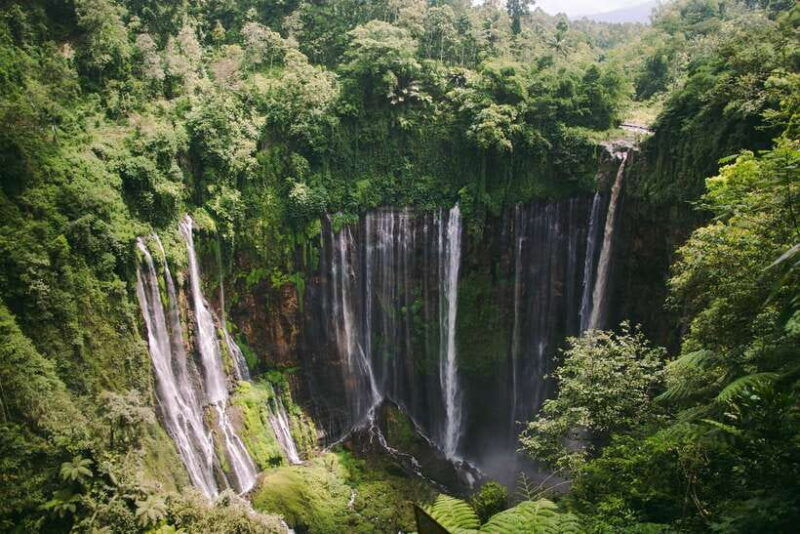 from-bali-10-day-tour-of-javas-highlights-with-lodging