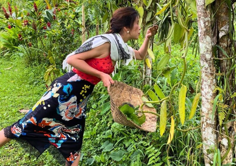 from-bali-cooking-class-at-ubud-organic-farm