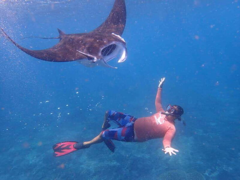 from-bali-half-day-snorkeling-3-spots-to-lembongan-penida