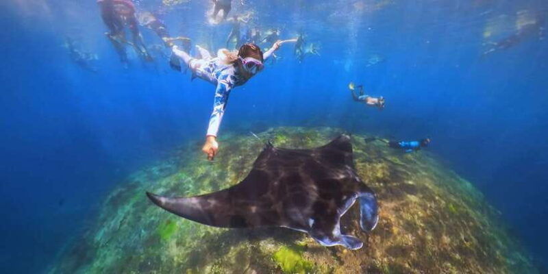 from-bali-swim-with-manta-rays-in-nusa-penida