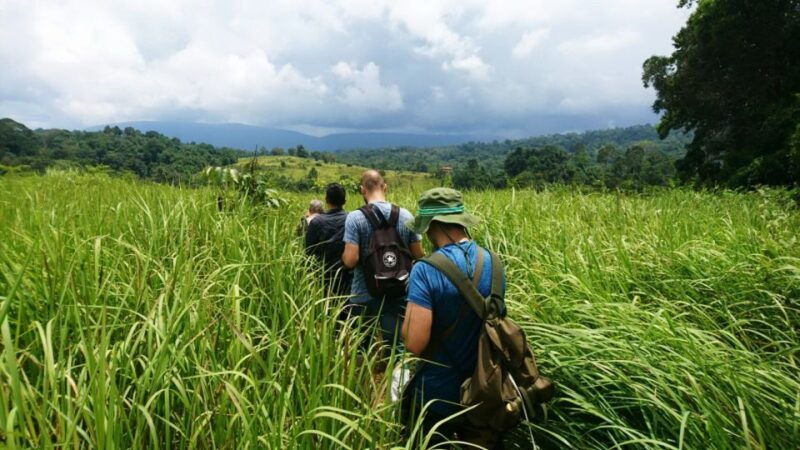 from-bangkok-khao-yai-national-park-jungle-trek-with-lunch