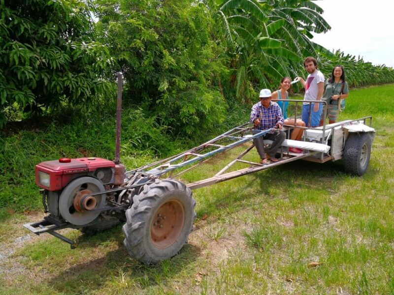 from-bangkok-mahasawat-canal-and-organic-fruit-farm-tour