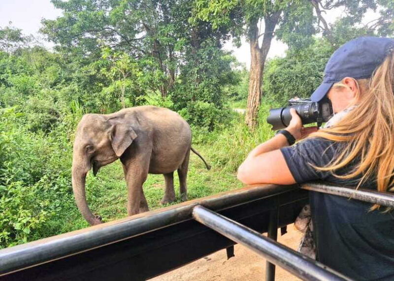 from-bentota-elephant-transit-camp-and-udawalawe-safari
