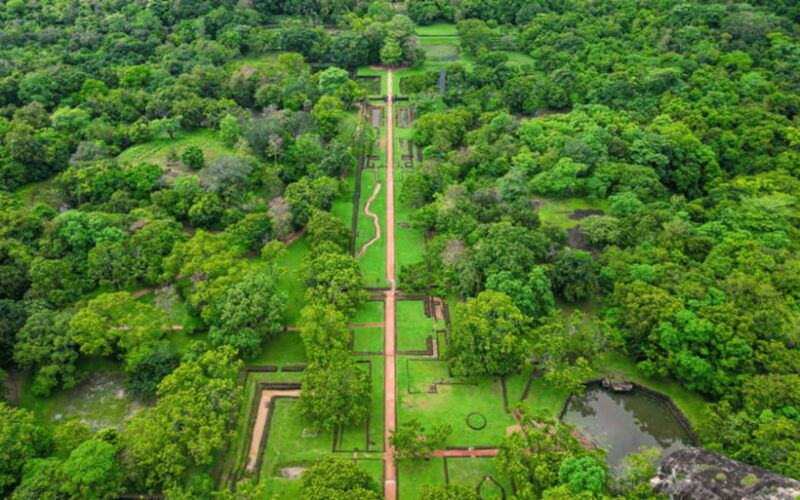 from-bentota-sigiriya-and-dambulla-day-trip-and-safari