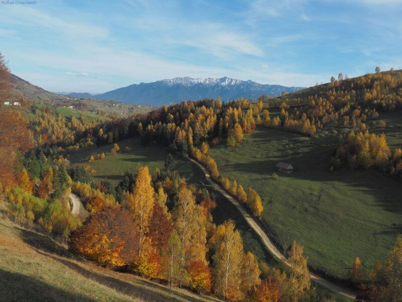 from-brasov-romanian-mountain-villages-day-tour