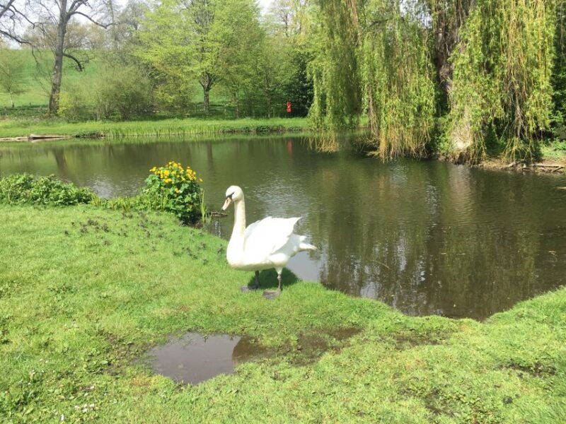 from-brighton-leeds-castle-canterbury-full-day-trip