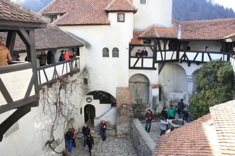 from-bucharest-bear-sanctuary-and-dracula-castle-day-tour