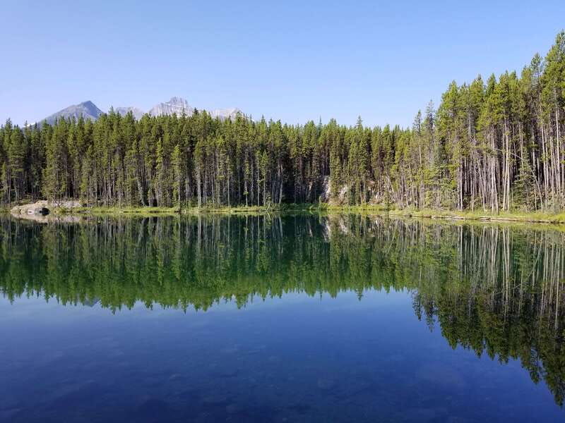 from-calgary-banff-columbia-icefield-glacier-full-day-trip