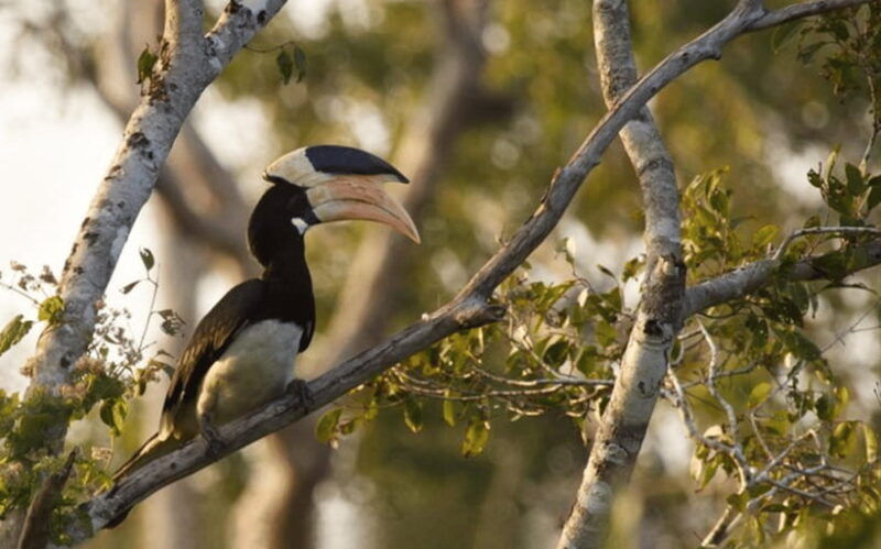 from-colombo-wilpattu-national-park-safari