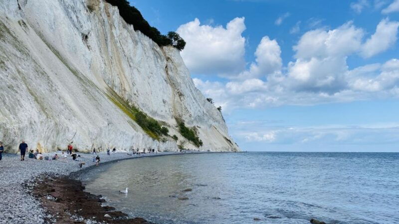 from-copenhagen-round-trip-to-mons-klint-and-forest-tower