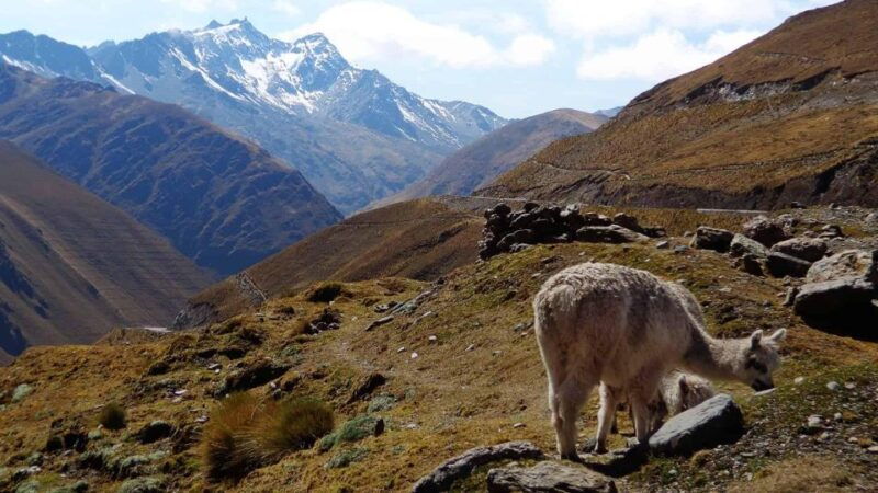 from-cusco-inka-jungle-tour-machu-picchu-4-days-3-nights