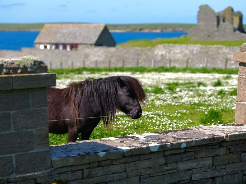 from-edinburgh-6-day-shetland-nothernmost-explorer