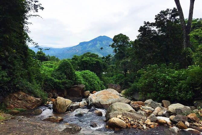 From Ella - Day Excursion to Yala National Park - Is This Tour Worth It?