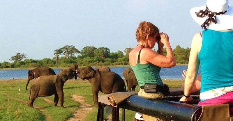 from-ellatransfer-to-galle-mirissa-with-udawalawa-safari