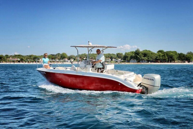from-fazana-private-sunset-dolphin-tour