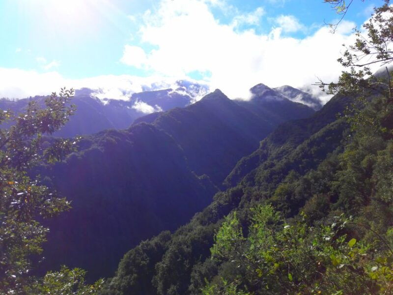from-funchal-sao-jorge-valleys-levada-walk