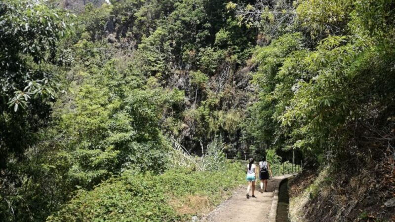 from-funchal-wet-your-hair-in-the-amazing-moinhos-levada