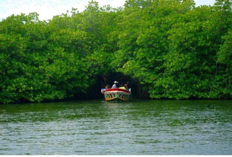 from-galle-exclusive-madu-river-safari-turtle-hatchery