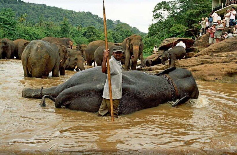 from-galle-mirissa-hikkaduwa-kandy-day-tour-with-pickup