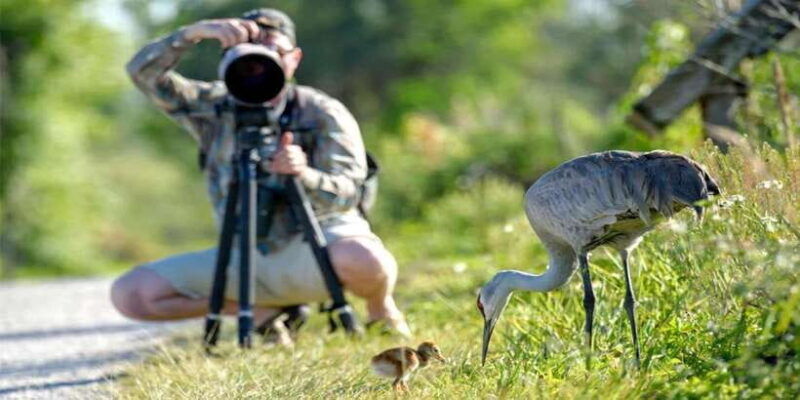 from-galle-mirissa-hikkaduwa-udawalawe-national-park-safari