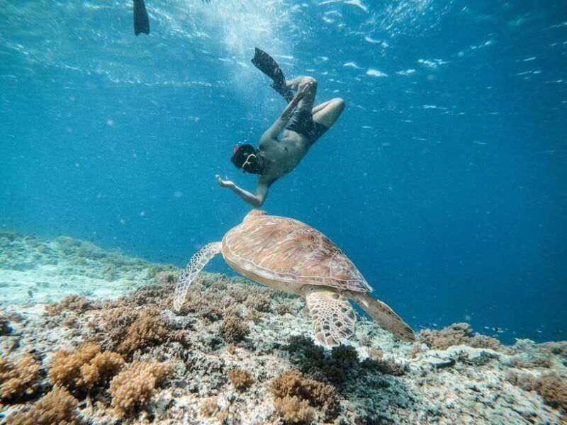 from-gili-meno-private-snorkeling-with-turtle-statue