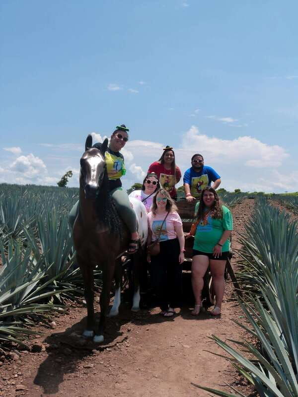 from-guadalajara-tequila-factory-and-panoramic-swing-tour-2
