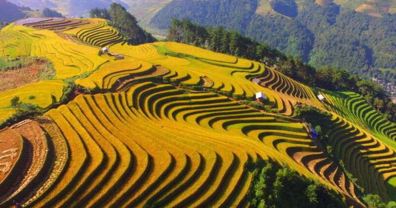 from-hanoi-1-day-sapa-trekking-tour-with-overnight-bus