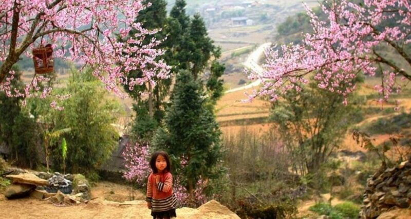 from-hanoi-3-day-sapa-trek-with-guide-homestay-and-meals