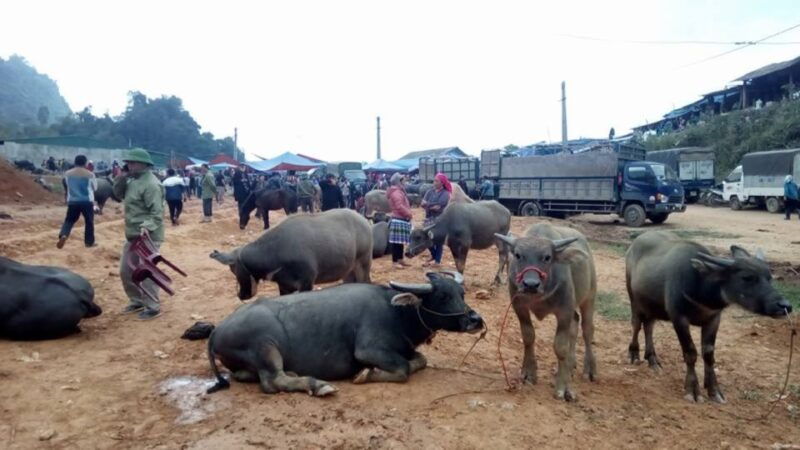 from-hanoi-3-day-sapa-trekking-trip-with-meals-and-homestay