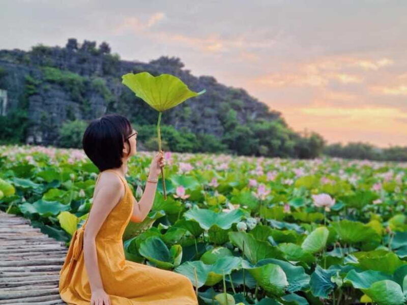 from-hanoi-day-trip-to-ninh-binh-the-colors-of-nature
