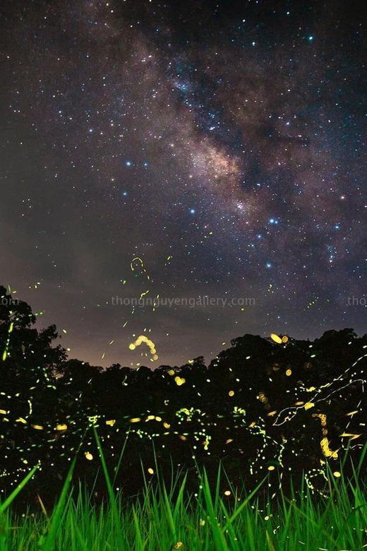 from-hanoi-explore-fresh-nature-see-wild-animal-fireflies