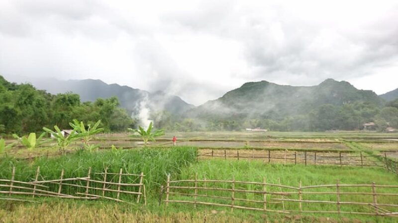 from-hanoi-ninh-binh-hoa-lu-trang-an-mua-cave-buffet-lunch