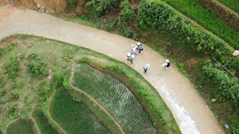 from-hanoi-sapa-2-days-1-night-trekking-with-local-people