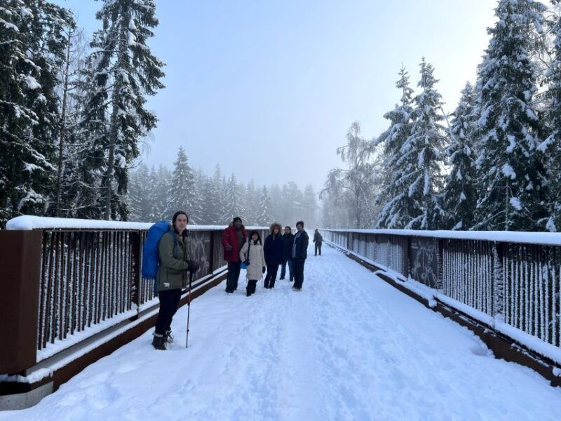 from-helsinki-hike-and-sauna-in-sipoonkorpi-national-park
